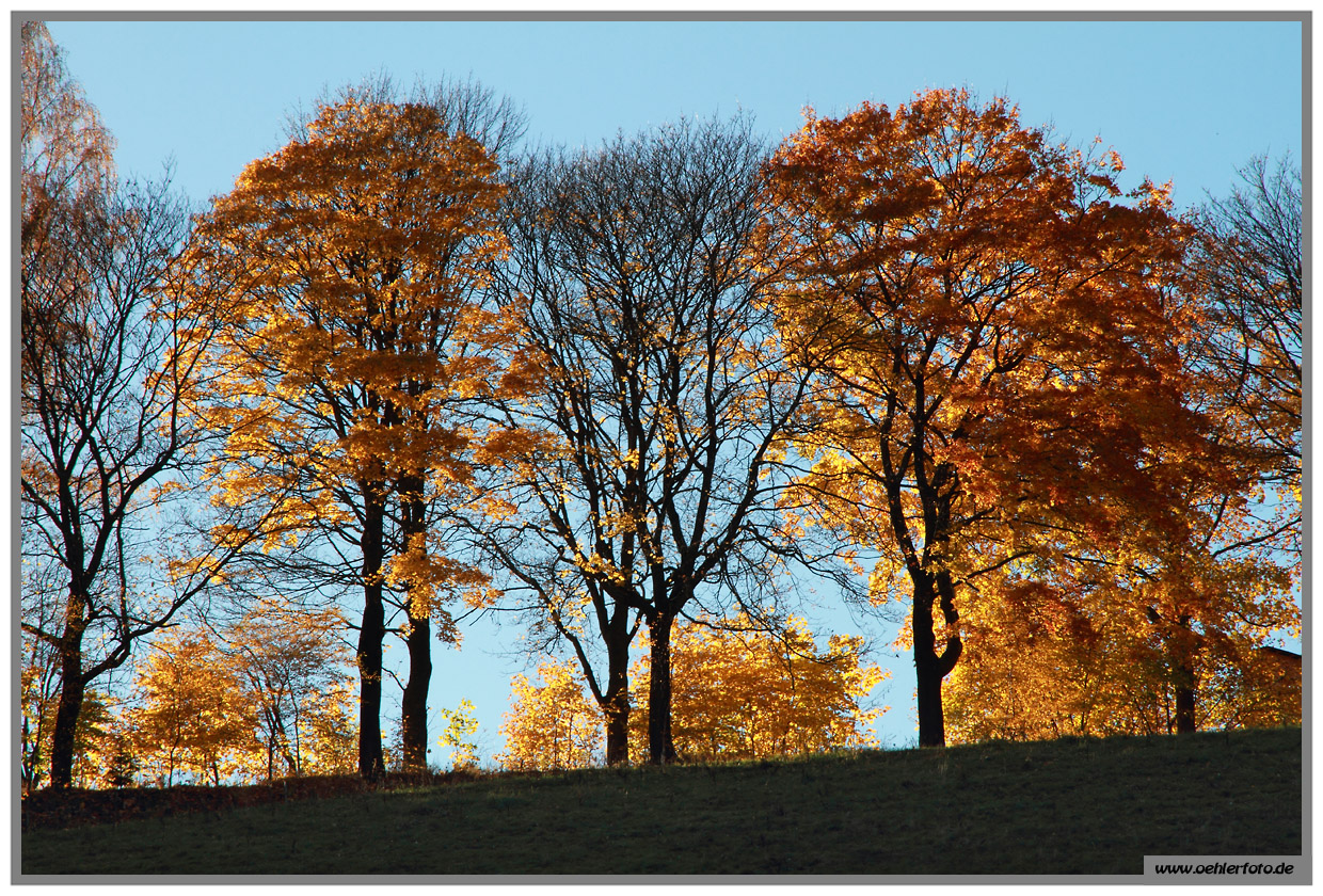 erzgebirge 15