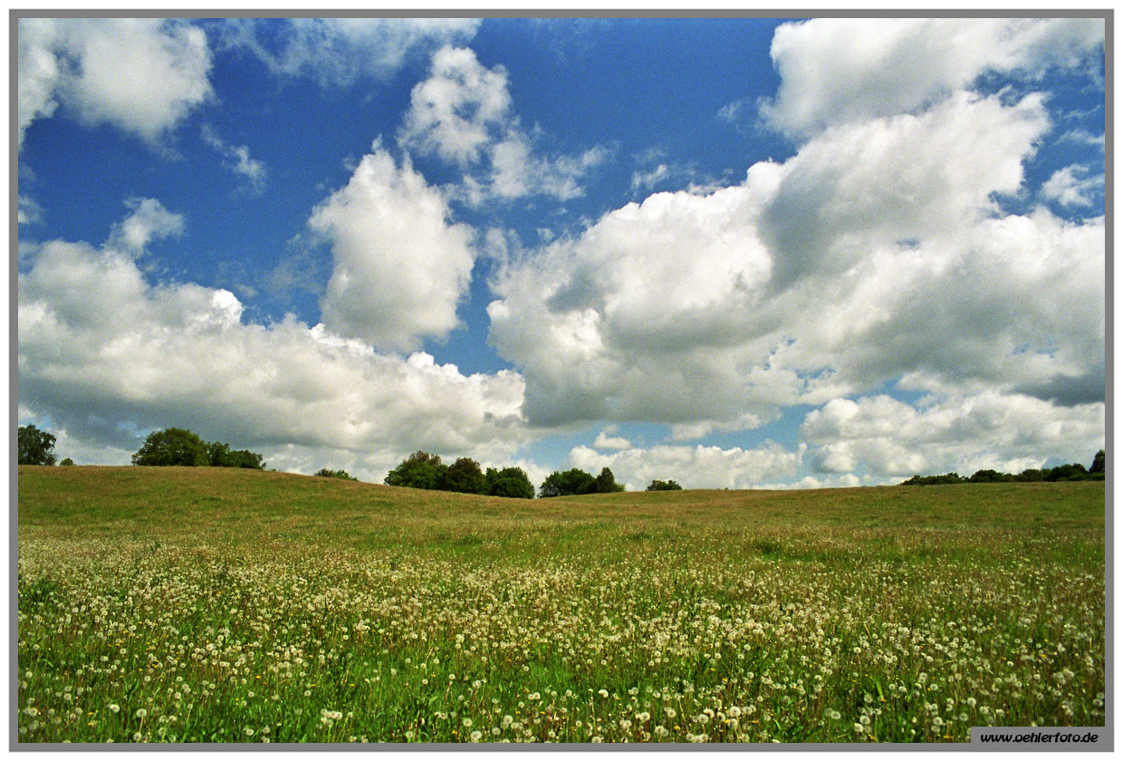 feldberg 02