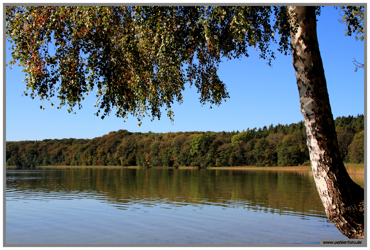 feldberg 07