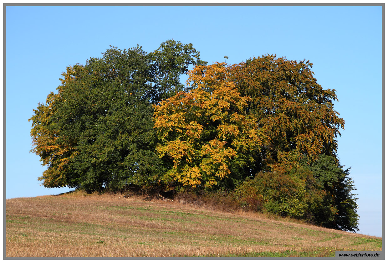 feldberg 05