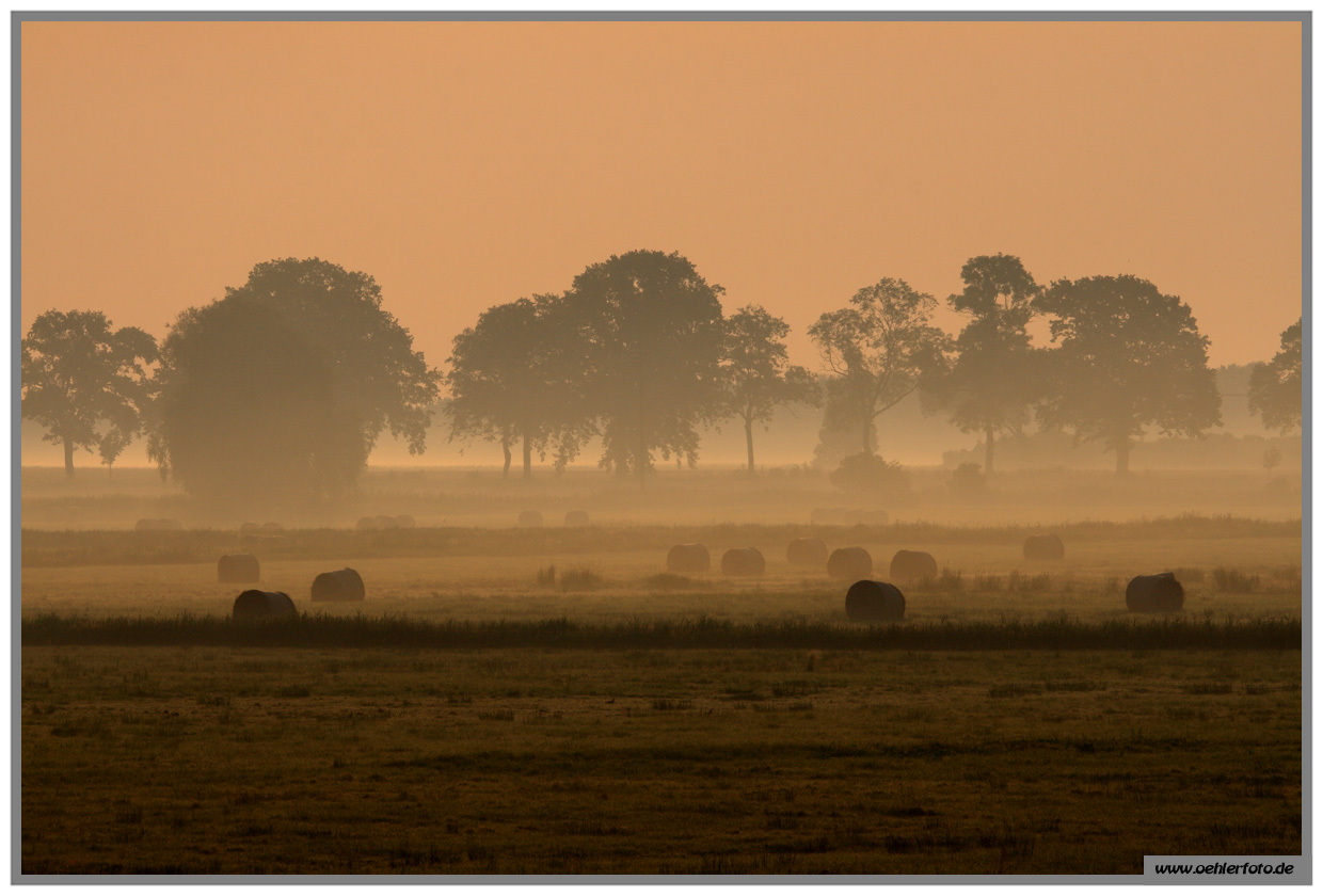 usedom 02