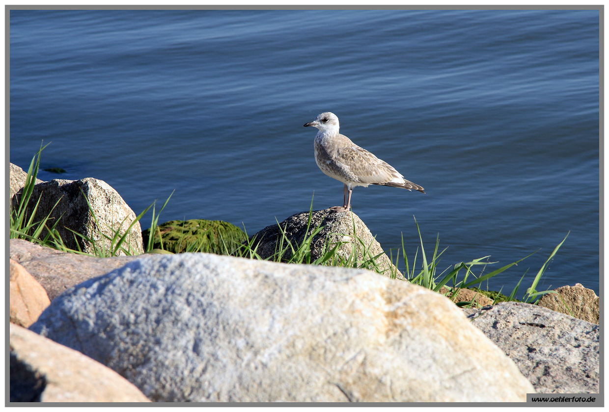 usedom 07