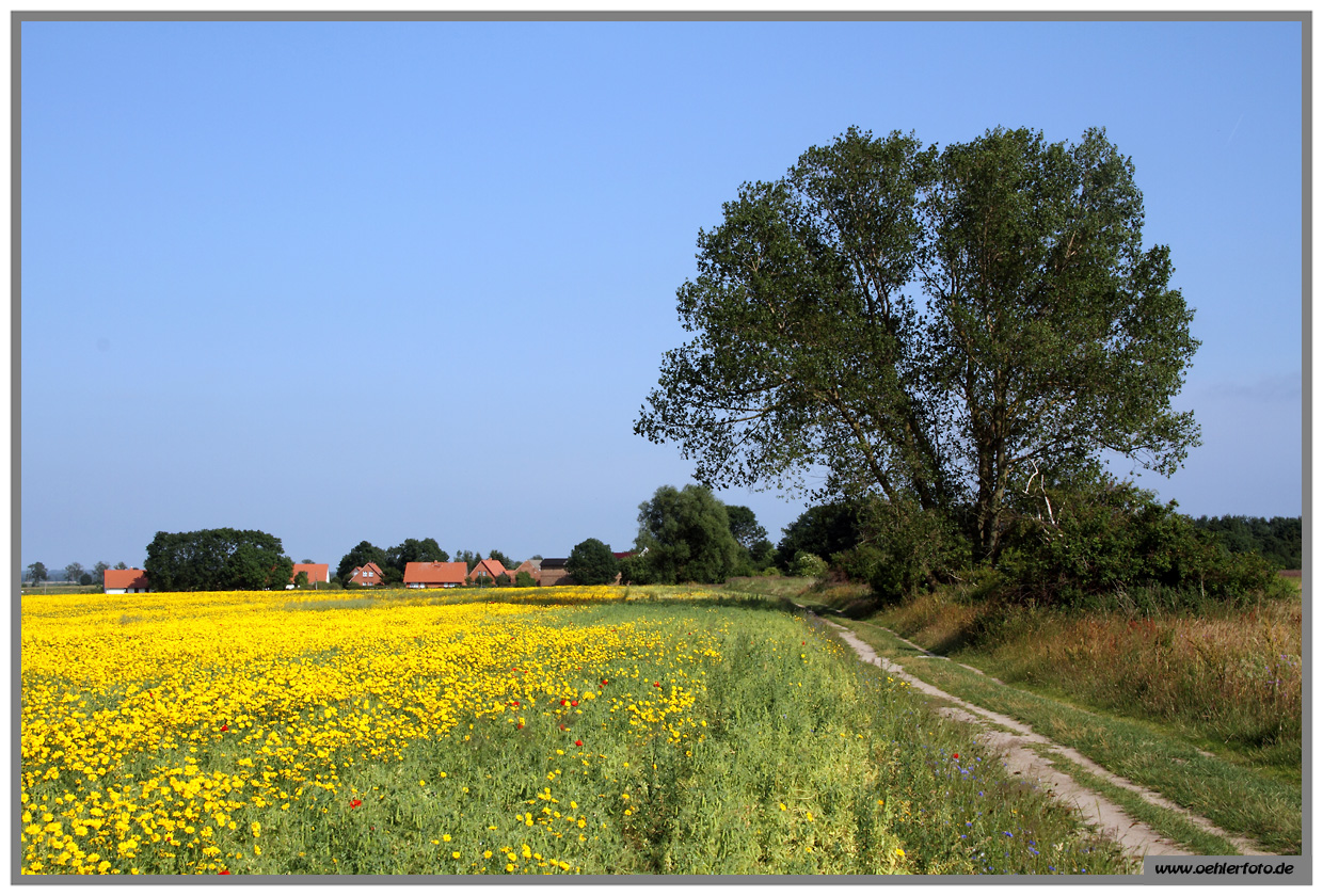 usedom 07