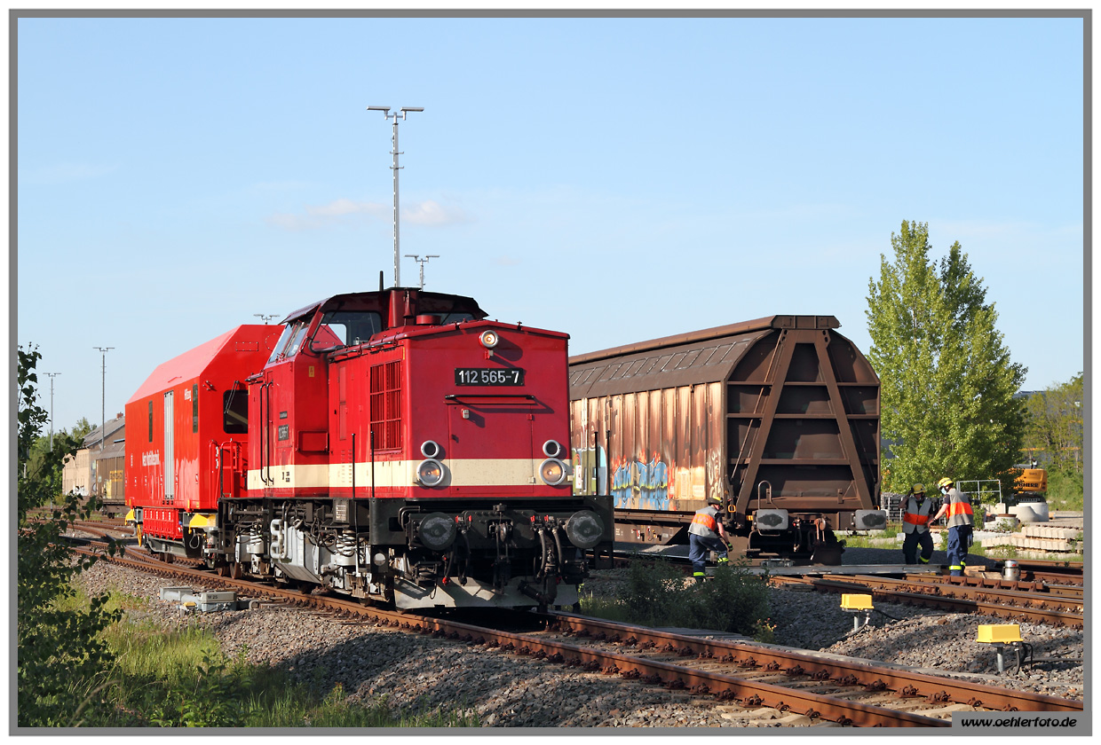 Ludmilla 351